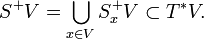 S^+V = \bigcup_{x \in V}S^+_xV \subset T^*V.