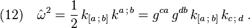 (12)\quad {\hat\omega}^2  =\frac{1}{2}\,k_{[a\,;\,b]}\,k^{a\,;\,b} =g^{ca}\,g^{db}\,k_{[a\,;\,b]}\,k_{c\,;\,d}\;.